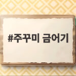 주꾸미 금어기