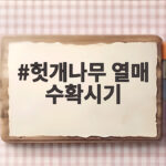 헛개나무 열매 수확시기와 보관법 총정리 헛개나무 열매 수확시기