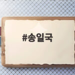 송일국 삼둥이 아빠 독립운동가 후손 이야기 송일국