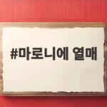 마로니에 열매 독성과 밤 구별법 마로니에 열매