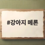 강아지 메론