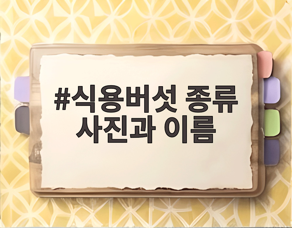식용버섯 종류 사진과 이름