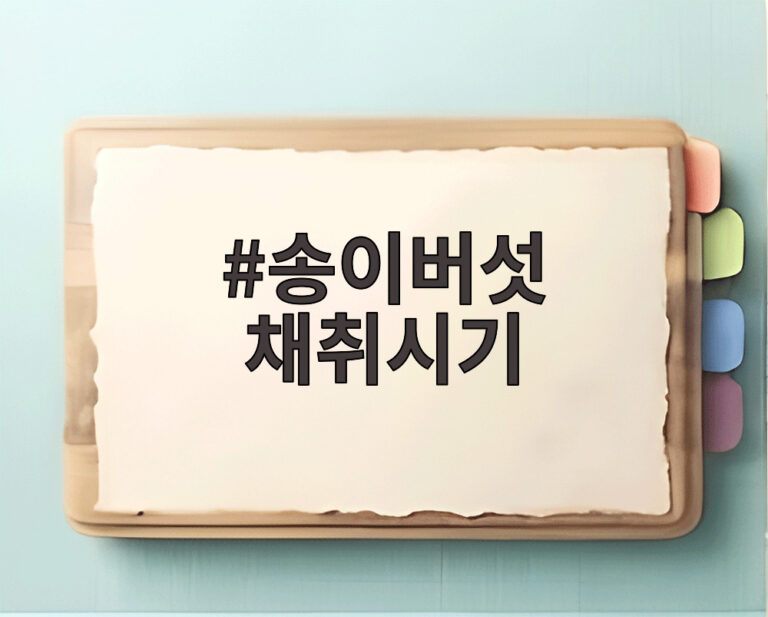 송이버섯 채취시기