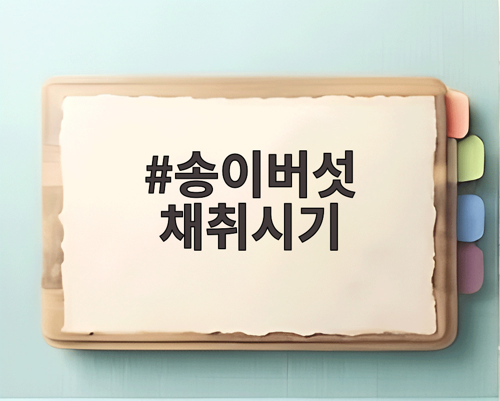 송이버섯 채취시기