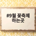 9월 꽃축제 하는곳 가볼만한 명소 9월 꽃축제 하는곳