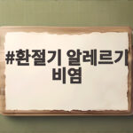 환절기 알레르기 비염 증상 완화하는 생활 관리 환절기 알레르기 비염
