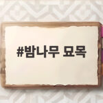 밤나무 묘목