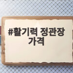 활기력 정관장 가격