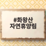 화왕산 자연휴양림 가을 억새와 편백 힐링을 한 번에 즐기는 방법 화왕산 자연휴양림