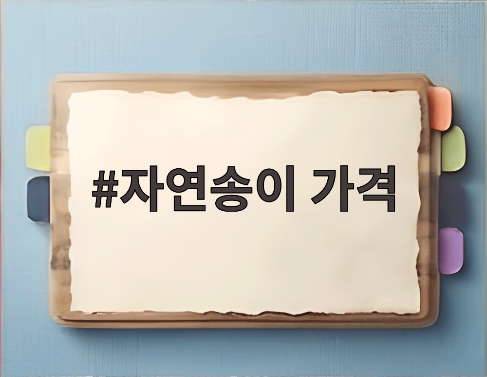 자연송이 가격