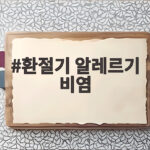 환절기 알레르기 비염