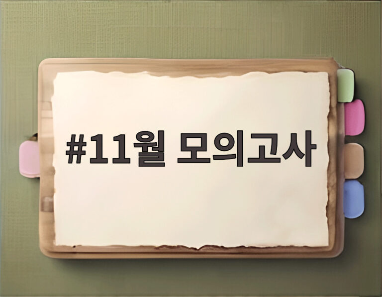 11월 모의고사