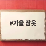 가을 잠옷 고르는 법, 환절기 밤을 편하게 보내는 현명한 선택 가을 잠옷