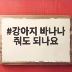 강아지 바나나 줘도 되나요