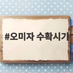 오미자 수확시기 이렇게 확인하면 놓치지 않아요 오미자 수확시기