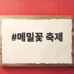 메밀꽃 축제 2026 봉평 효석문화제 입장료 주차 일정 총정리 메밀꽃 축제