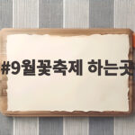 9월꽃축제 하는곳