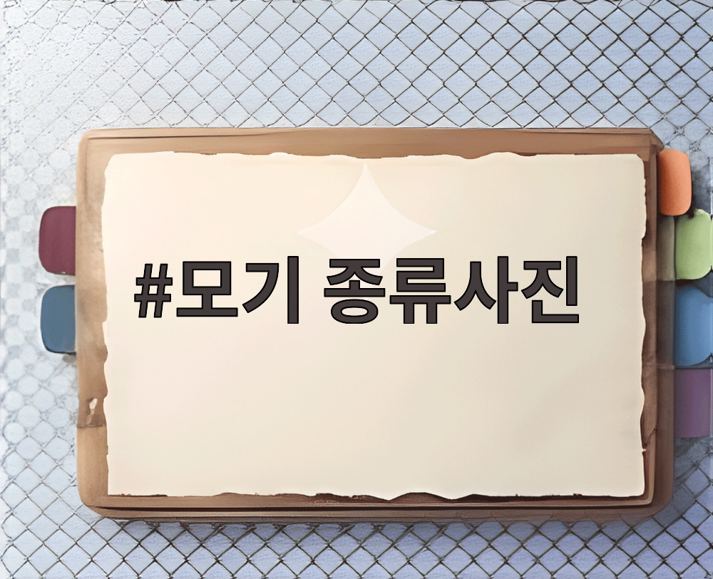 모기 종류사진