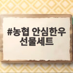 농협 안심한우 선물세트