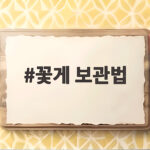 꽃게 보관법 이렇게 하면 오래 싱싱하게 즐길 수 있습니다 꽃게 보관법