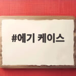 에기 케이스 고르는 법과 추천 제품, 다이소 팁까지 에기 케이스