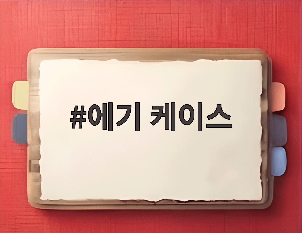 에기 케이스