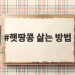 햇땅콩 삶는 방법