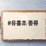 유홍초 종류