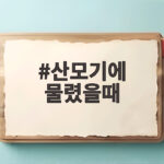 산모기에 물렸을때 독한 붓기와 가려움 다스리는 생활 대처법 산모기에 물렸을때