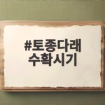 토종다래 수확시기 언제가 좋을까 껍질째 먹는 방법과 보관법 토종다래 수확시기