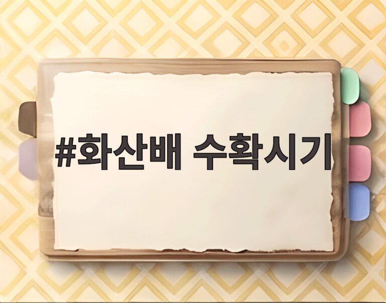 화산배 수확시기