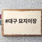 대구 묘지이장 절차와 비용, 사전 준비 사항을 한눈에 대구 묘지이장