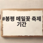 봉평 메밀꽃 축제 기간