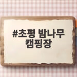 초평 밤나무 캠핑장