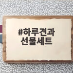 하루견과 선물세트