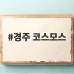 경주 코스모스