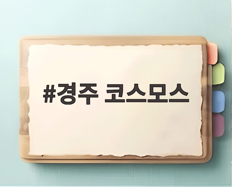 경주 코스모스