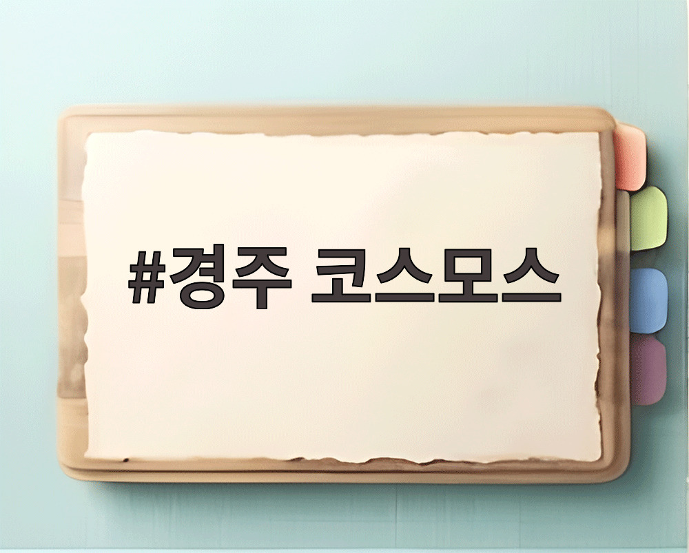 경주 코스모스