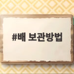 배 보관방법 이것만 알면 한 달은 거뜬합니다 배 보관방법