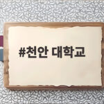 천안 대학교 수시 경쟁률 한기대 단국대 백석대 어디가 가장 높았을까 천안 대학교