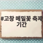 고창 메밀꽃 축제 기간