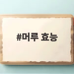 머루 효능 제대로 알고 먹는 방법과 보관법 총정리 머루 효능