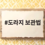 도라지 보관법 냉장 냉동 구분해서 오래 신선하게 먹는 방법 도라지 보관법