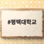 평택대학교 수시 모집 인원과 지원 전략 총정리 평택대학교
