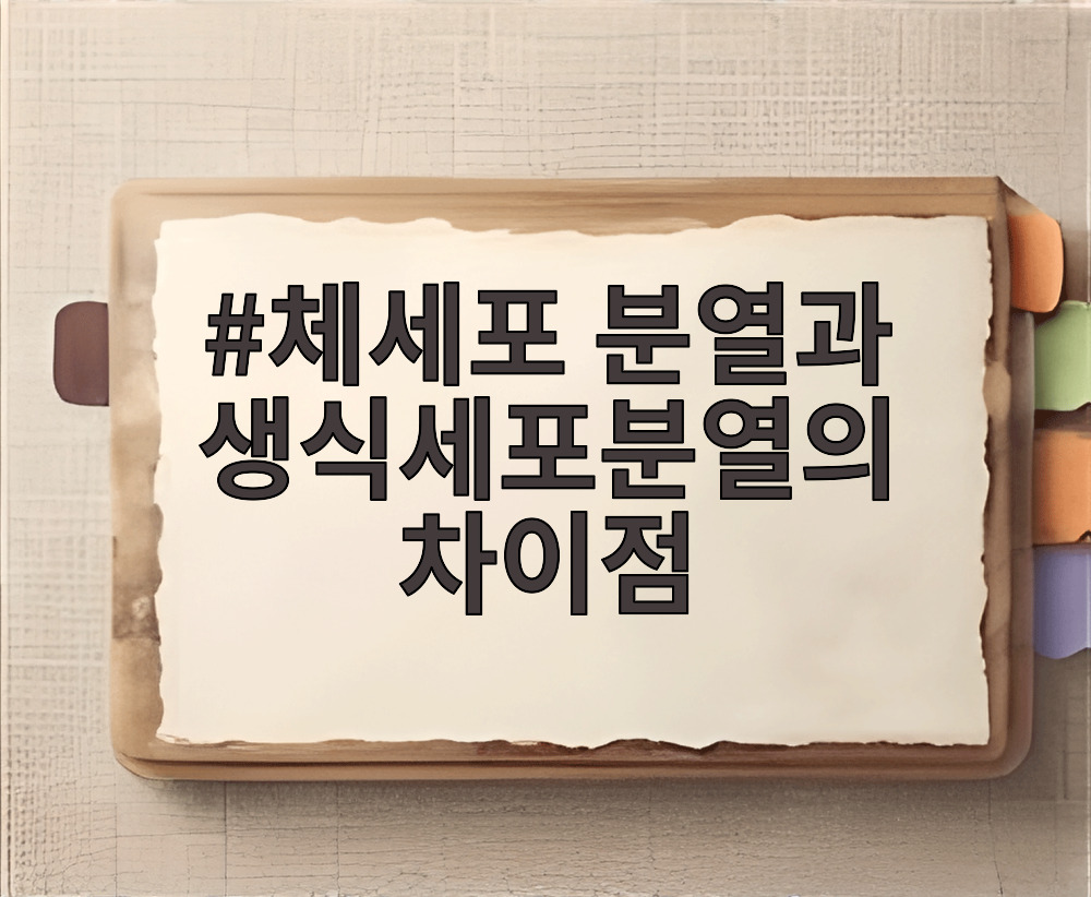 체세포 분열과 생식세포분열의 차이점
