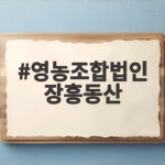 영농조합법인 장흥동산 표고버섯 선물세트 직접 경험한 후기와 활용법 영농조합법인 장흥동산