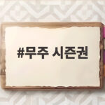 무주 시즌권 2차 특가 놓치면 아까운 할인 혜택 정리 무주 시즌권