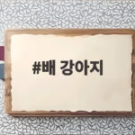 배 강아지 먹어도 되는 과일일까 안전한 급여량 총정리 배 강아지