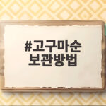 고구마순 보관방법 이것만 알면 1년 내내 맛있게 먹어요 고구마순 보관방법