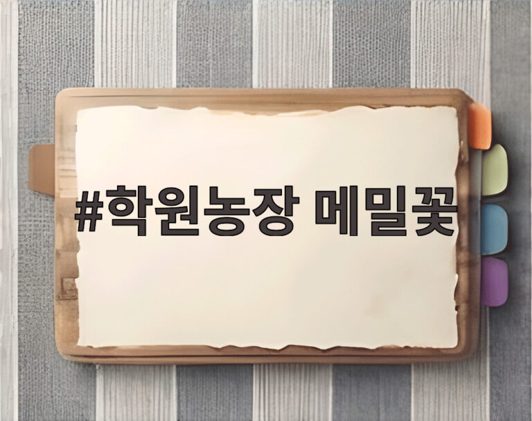 학원농장 메밀꽃